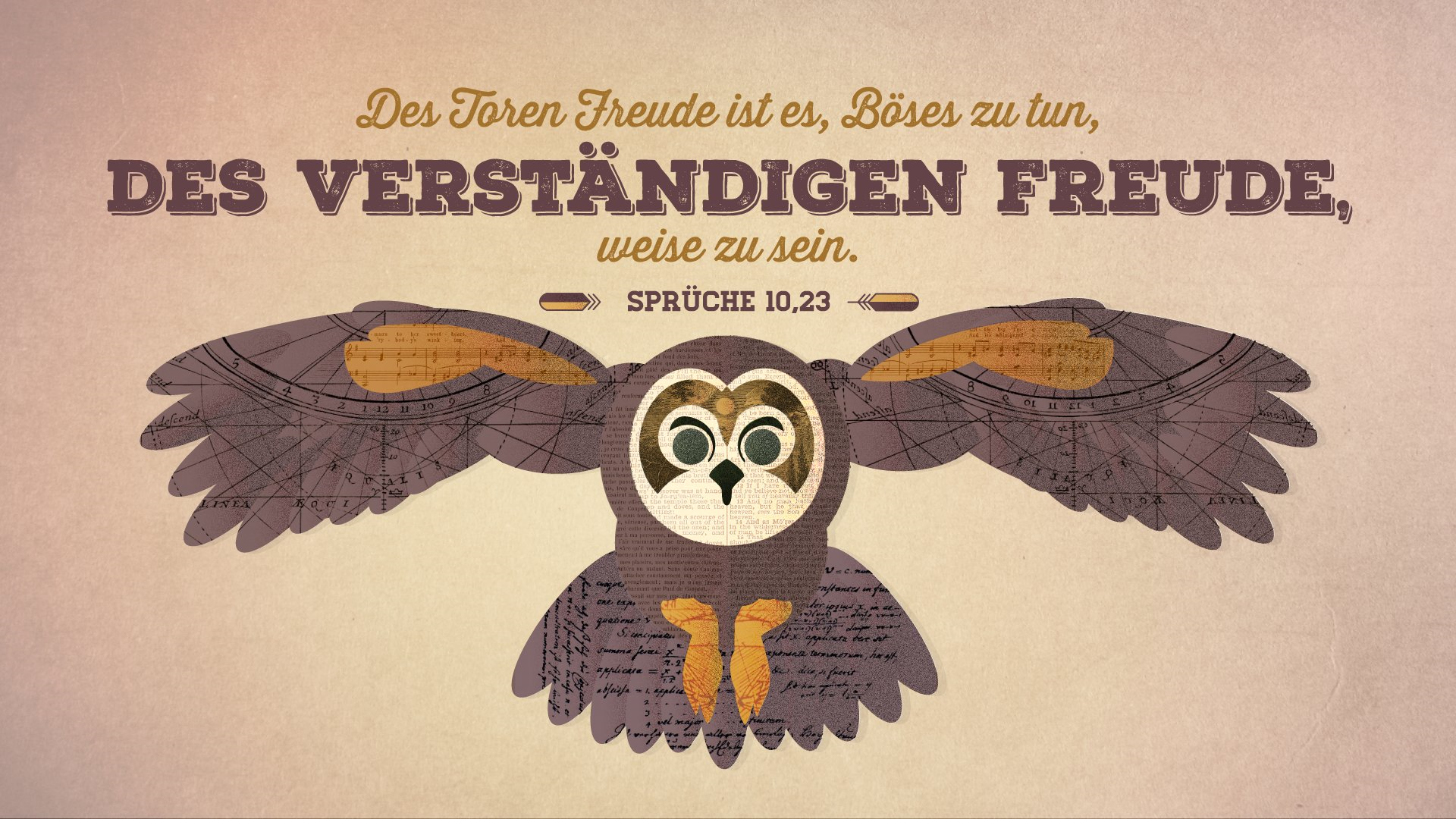 Weisheit und Torheit