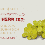 Göttlicher BIO-Geschmack