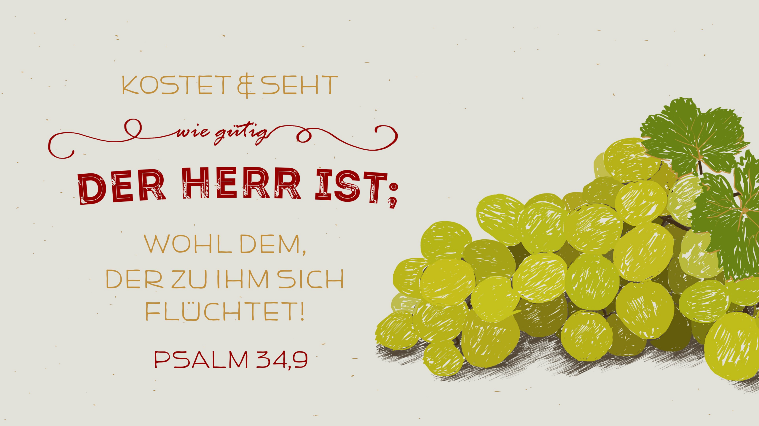 Göttlicher BIO-Geschmack